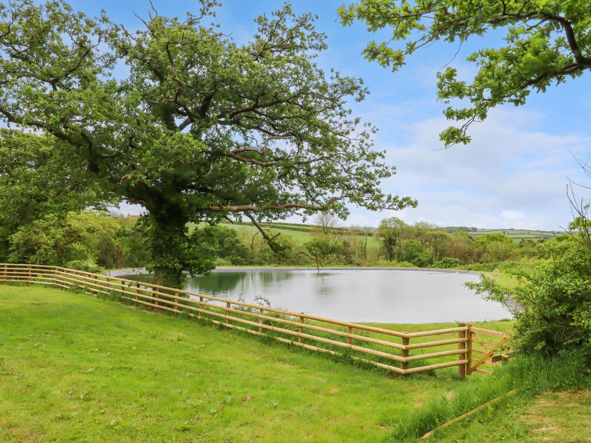 Villa Hole Park Holsworthy Esterno foto